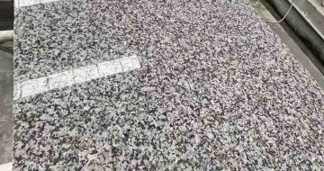 连云港 芙蓉白光面