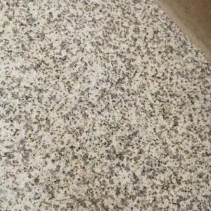 连云港 黄金麻中黄光面