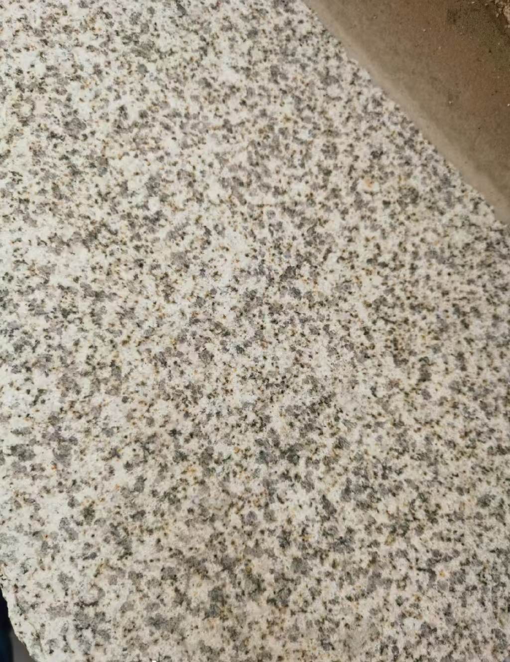 连云港 黄金麻中黄光面