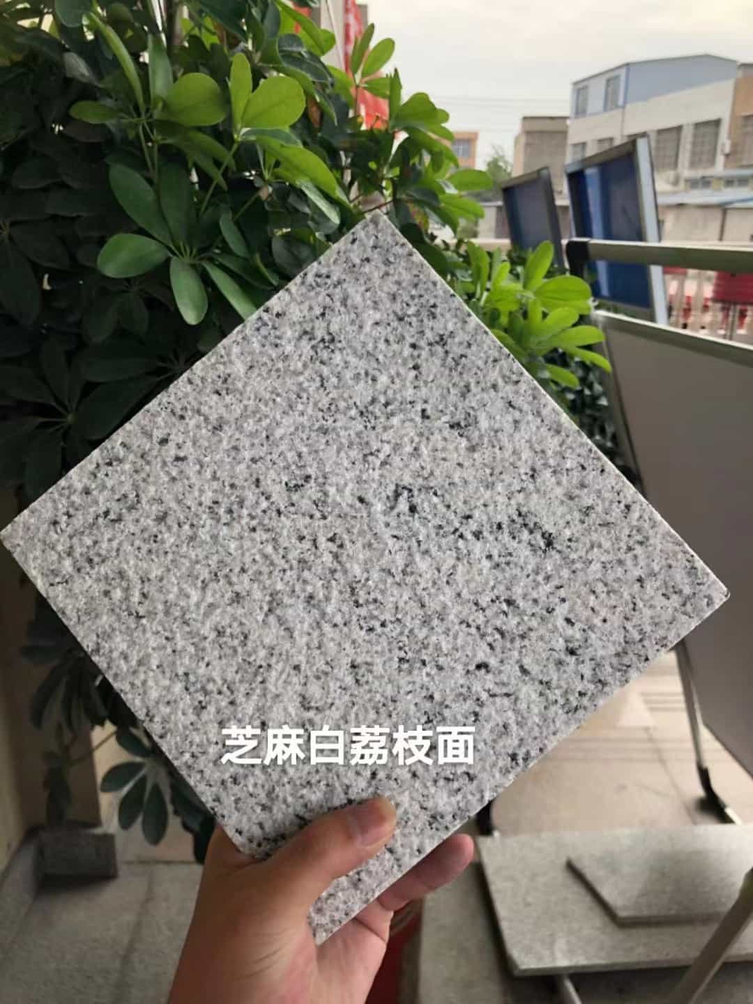 连云港 芝麻白荔枝面干挂